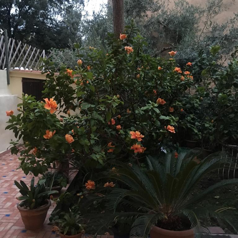 Carrer Dels Horts Apartment Alghero Exterior photo
